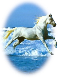 Release Therapies - Trained in Flinchlock Release Therapy® Developed to serve Horse & Rider